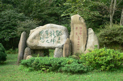 Rocks