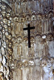 bones1.jpg (21798 bytes)
