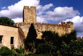 castle6.jpg (16372 bytes)
