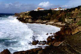 coast3.jpg (16310 bytes)