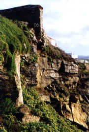 coast4.jpg (19459 bytes)