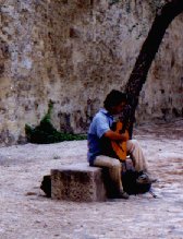 guitar.jpg (12947 bytes)