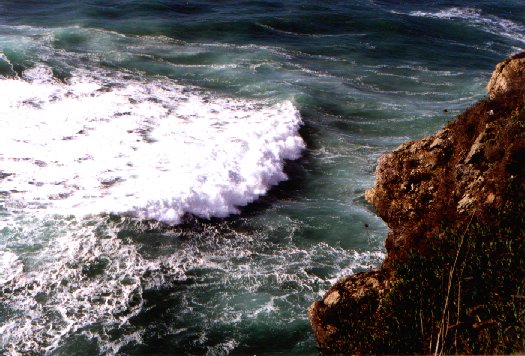 ocean.jpg (65494 bytes)