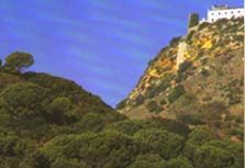 palmela.jpg (7436 bytes)